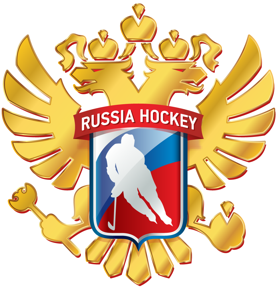 Russia 2016-Pres Alternate Logo v2 iron on transfers for clothing